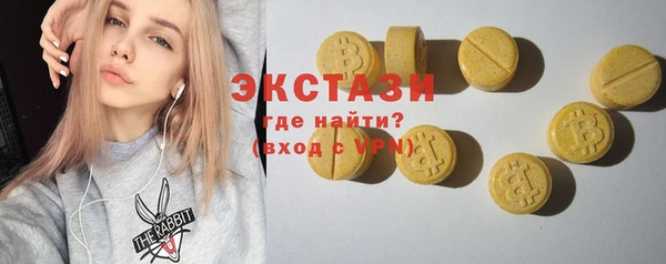 индика Козловка
