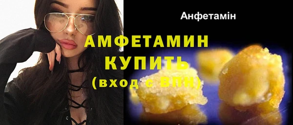 индика Козловка