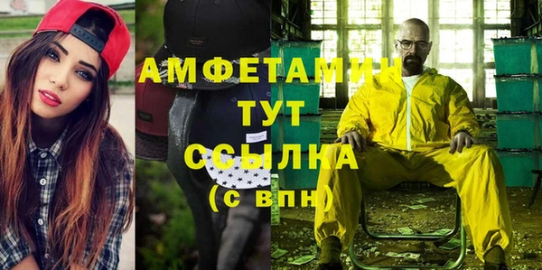 индика Козловка