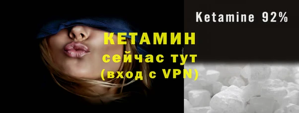 индика Козловка