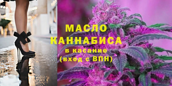 индика Козловка