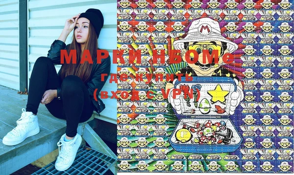индика Козловка
