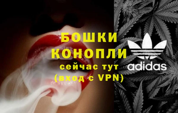 индика Козловка