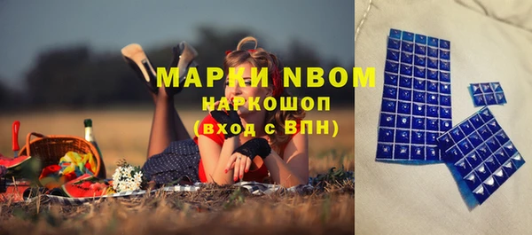 индика Козловка